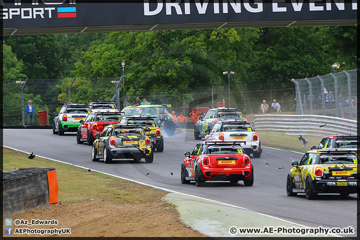 Mini_Festival_Brands_Hatch_28-06-15_AE_134.jpg