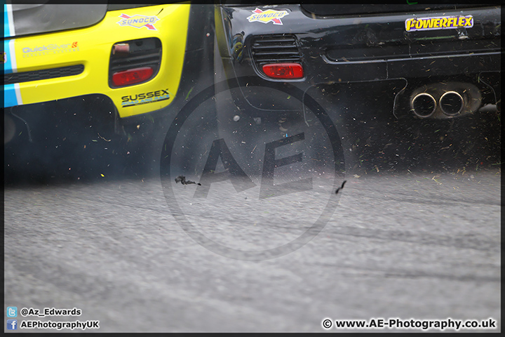 Mini_Festival_Brands_Hatch_28-06-15_AE_145.jpg