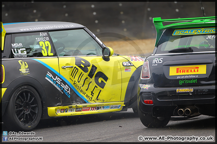 Mini_Festival_Brands_Hatch_28-06-15_AE_146.jpg