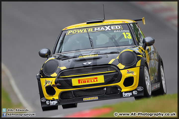 Mini_Festival_Brands_Hatch_28-06-15_AE_148.jpg