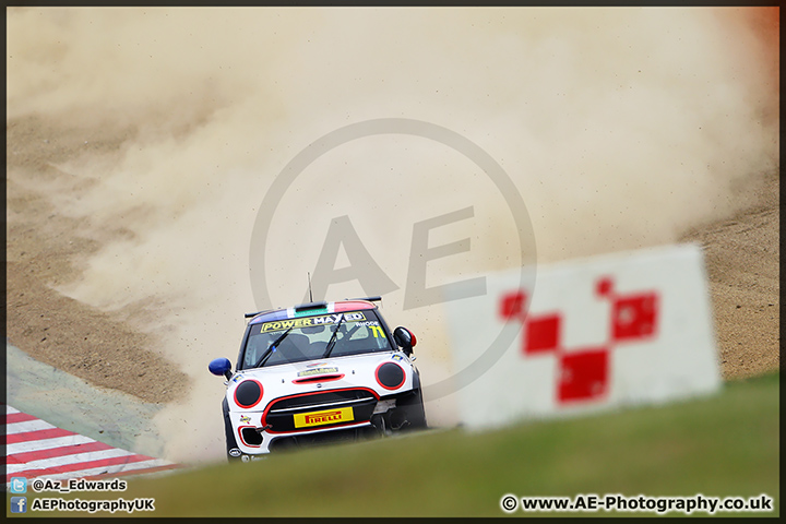 Mini_Festival_Brands_Hatch_28-06-15_AE_150.jpg