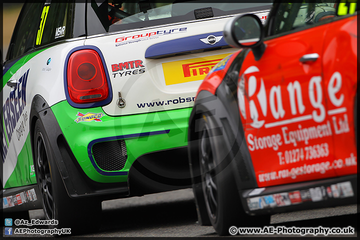 Mini_Festival_Brands_Hatch_28-06-15_AE_152.jpg