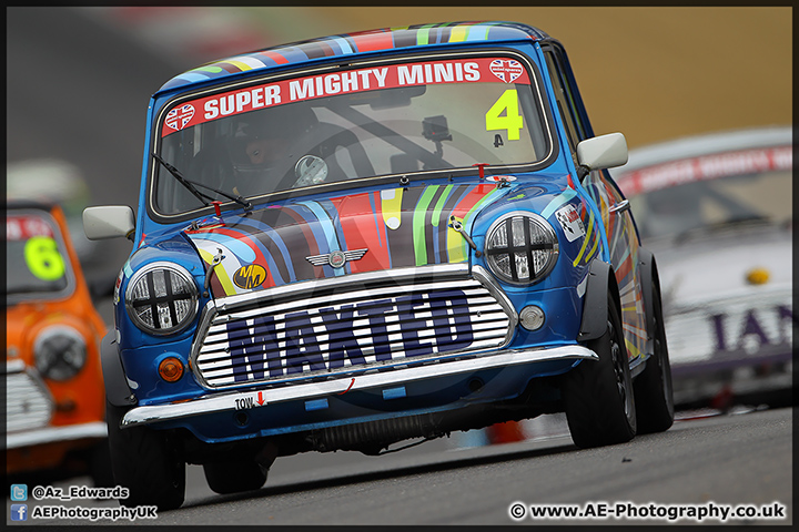 Mini_Festival_Brands_Hatch_28-06-15_AE_156.jpg