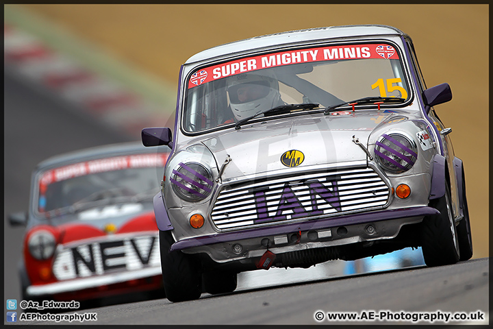 Mini_Festival_Brands_Hatch_28-06-15_AE_157.jpg