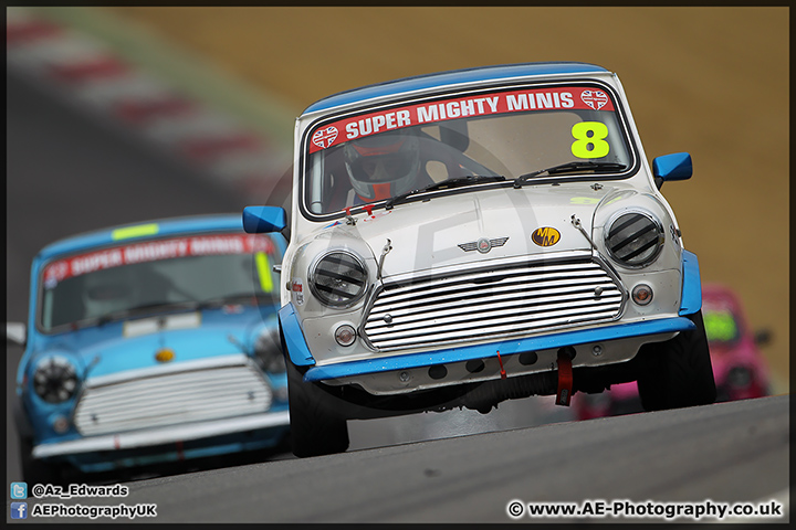 Mini_Festival_Brands_Hatch_28-06-15_AE_158.jpg