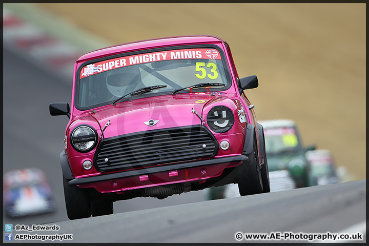 Mini_Festival_Brands_Hatch_28-06-15_AE_159.jpg