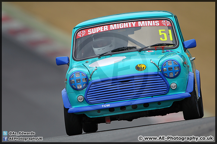 Mini_Festival_Brands_Hatch_28-06-15_AE_162.jpg