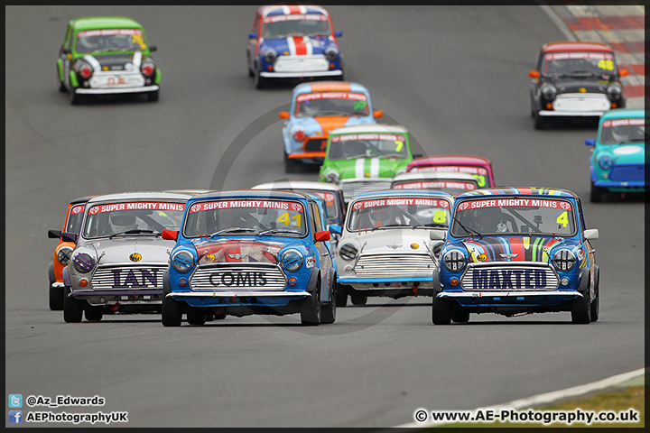 Mini_Festival_Brands_Hatch_28-06-15_AE_166.jpg