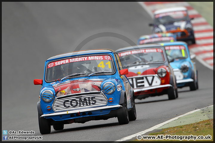 Mini_Festival_Brands_Hatch_28-06-15_AE_167.jpg