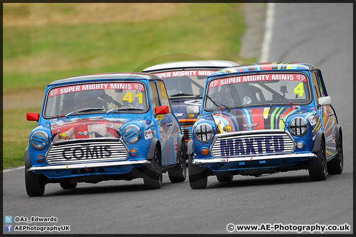 Mini_Festival_Brands_Hatch_28-06-15_AE_169.jpg