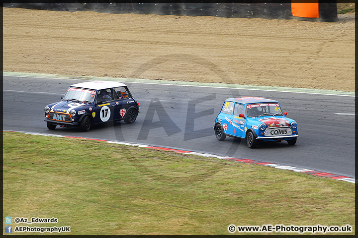 Mini_Festival_Brands_Hatch_28-06-15_AE_171.jpg