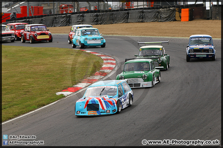 Mini_Festival_Brands_Hatch_28-06-15_AE_174.jpg