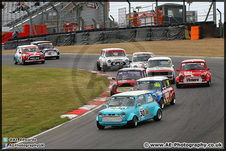 Mini_Festival_Brands_Hatch_28-06-15_AE_175.jpg