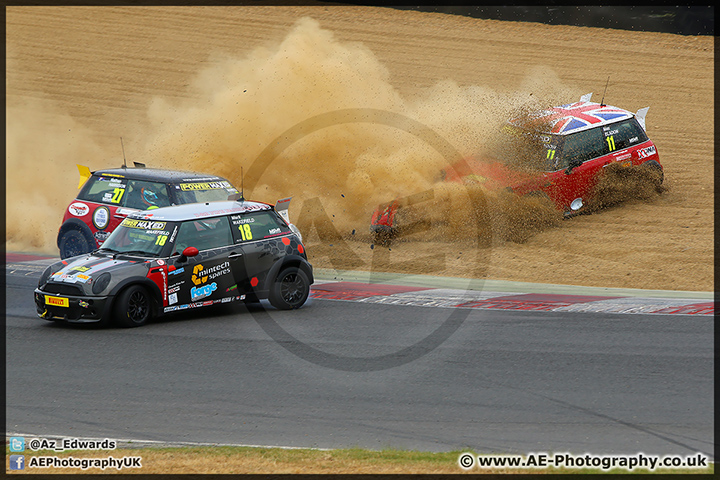 Mini_Festival_Brands_Hatch_28-06-15_AE_190.jpg