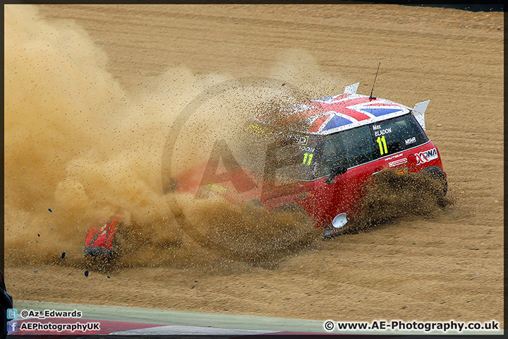 Mini_Festival_Brands_Hatch_28-06-15_AE_191.jpg