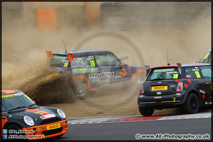 Mini_Festival_Brands_Hatch_28-06-15_AE_201.jpg