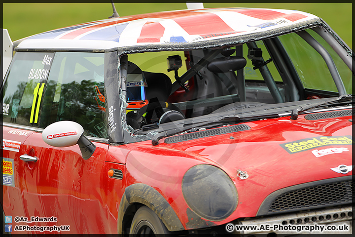 Mini_Festival_Brands_Hatch_28-06-15_AE_218.jpg