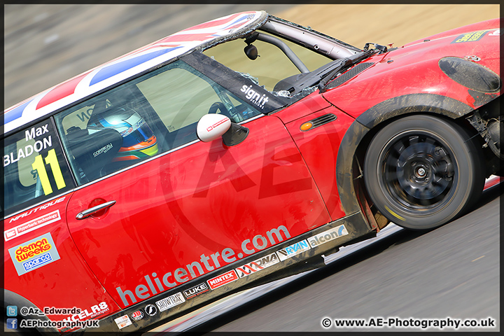 Mini_Festival_Brands_Hatch_28-06-15_AE_223.jpg