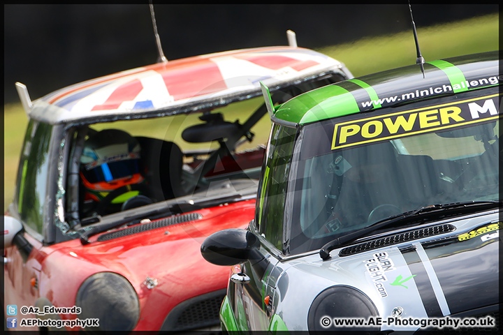 Mini_Festival_Brands_Hatch_28-06-15_AE_225.jpg