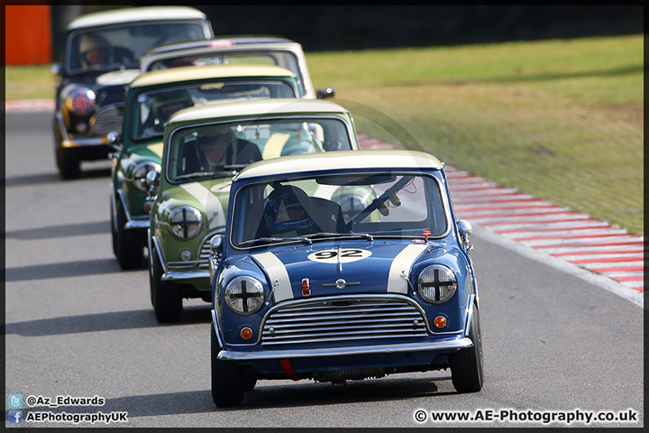 Mini_Festival_Brands_Hatch_28-06-15_AE_228.jpg