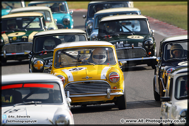 Mini_Festival_Brands_Hatch_28-06-15_AE_229.jpg