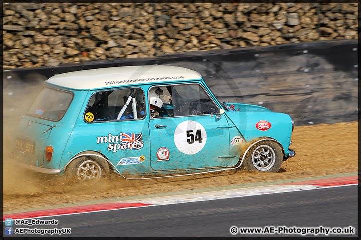 Mini_Festival_Brands_Hatch_28-06-15_AE_236.jpg