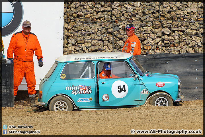 Mini_Festival_Brands_Hatch_28-06-15_AE_238.jpg