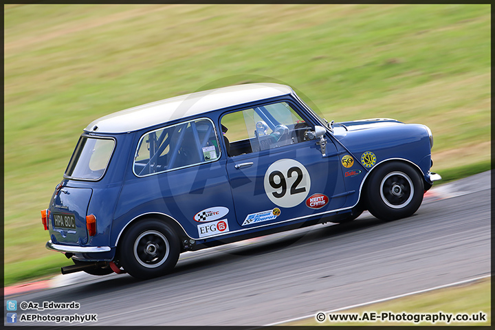 Mini_Festival_Brands_Hatch_28-06-15_AE_241.jpg