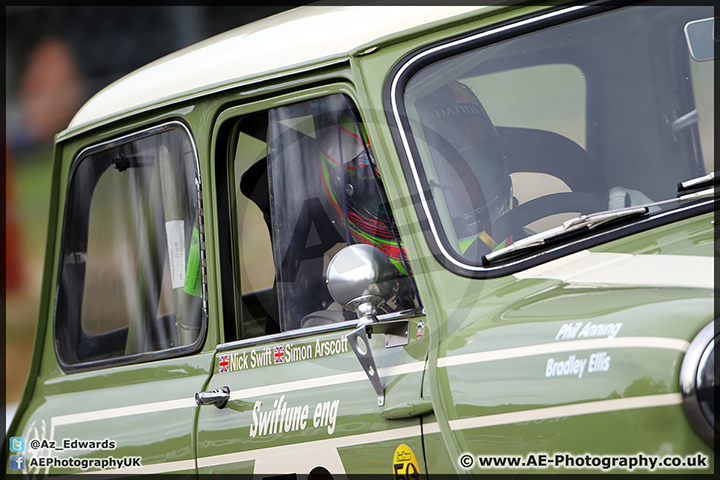 Mini_Festival_Brands_Hatch_28-06-15_AE_247.jpg