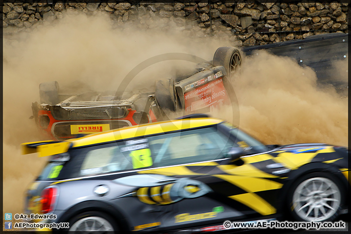 Mini_Festival_Brands_Hatch_28-06-15_AE_272.jpg