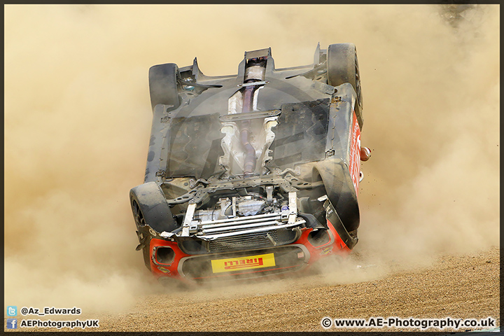 Mini_Festival_Brands_Hatch_28-06-15_AE_274.jpg