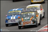 Mini_Festival_Brands_Hatch_28-06-15_AE_044