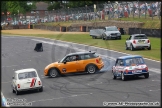 Mini_Festival_Brands_Hatch_28-06-15_AE_055