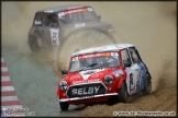 Mini_Festival_Brands_Hatch_28-06-15_AE_113