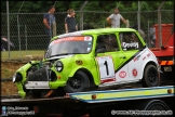 Mini_Festival_Brands_Hatch_28-06-15_AE_124