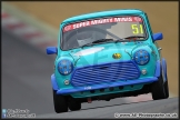 Mini_Festival_Brands_Hatch_28-06-15_AE_162