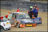 Mini_Festival_Brands_Hatch_28-06-15_AE_210