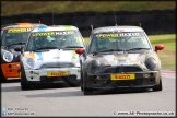 Mini_Festival_Brands_Hatch_28-06-15_AE_224