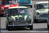 Mini_Festival_Brands_Hatch_28-06-15_AE_230