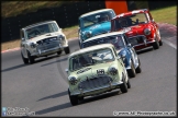 Mini_Festival_Brands_Hatch_28-06-15_AE_233