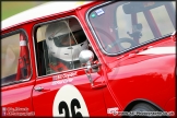 Mini_Festival_Brands_Hatch_28-06-15_AE_248