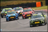 Mini_Festival_Brands_Hatch_28-06-15_AE_263