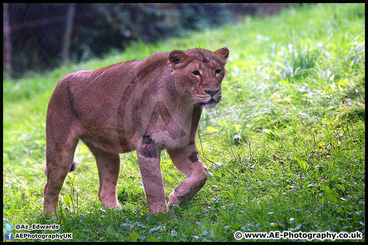 Paignton_Zoo_28-09-14_AE_001.jpg