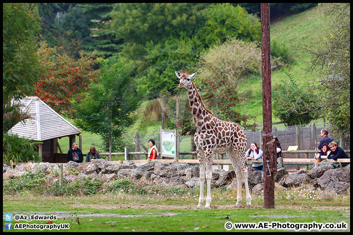 Paignton_Zoo_28-09-14_AE_012.jpg
