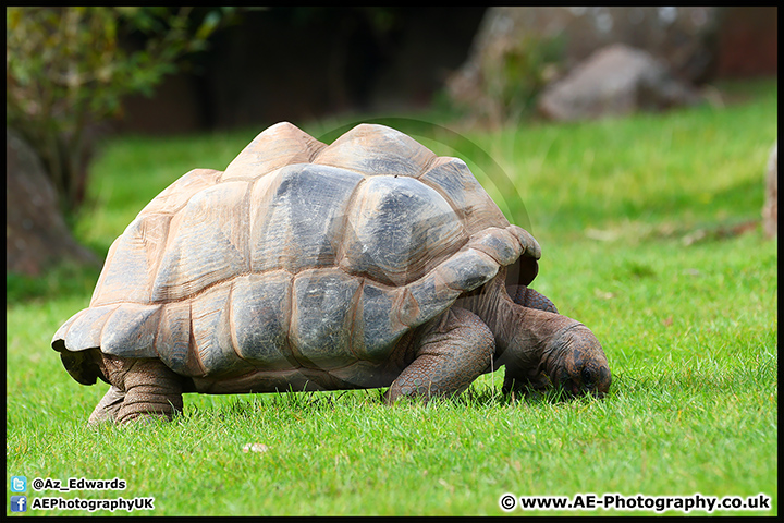Paignton_Zoo_28-09-14_AE_019.jpg