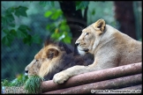 Paignton_Zoo_28-09-14_AE_003
