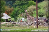 Paignton_Zoo_28-09-14_AE_012
