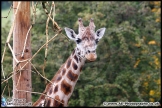 Paignton_Zoo_28-09-14_AE_013