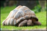 Paignton_Zoo_28-09-14_AE_020