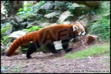 Paignton_Zoo_28-09-14_AE_021